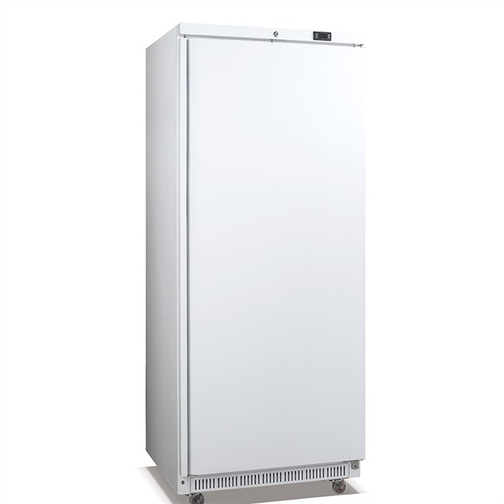 Single Door 600L Foamed Door Upright Freezer