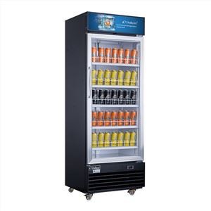 Commercial Upright Display Fridge
