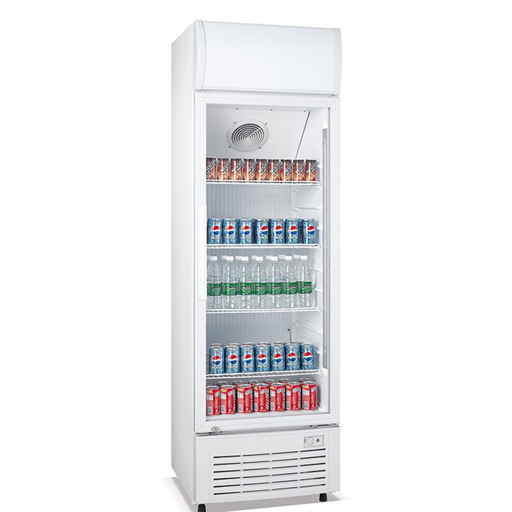 Dukers 1 Door ABS Plastic Inside Cabinet Drinks Cooler Showcase Without Light Box